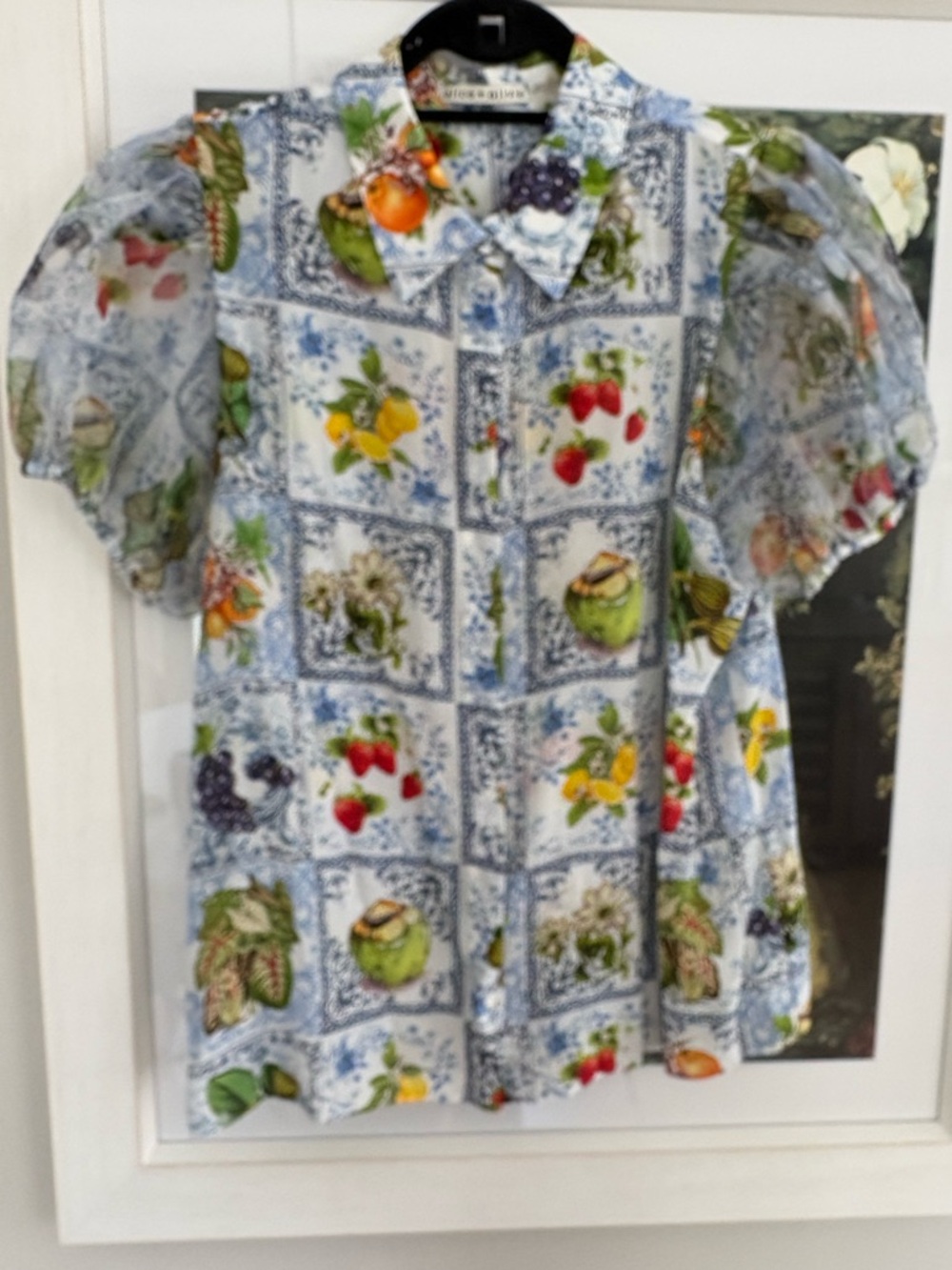 Alice and Olivia size XL blouse